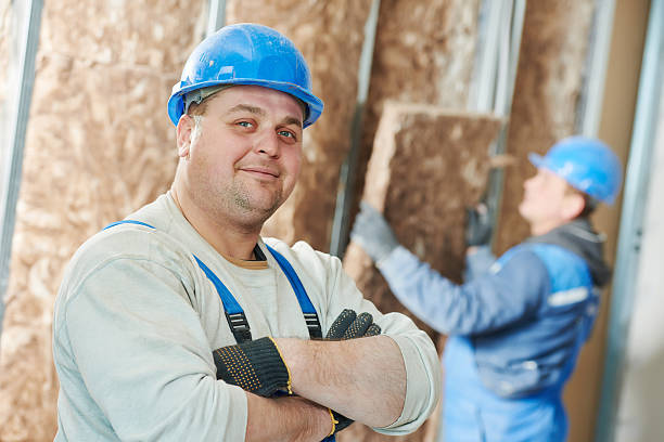 Best Insulation Maintenance and Repair in Lake Ridge, VA